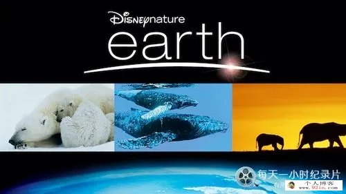2007迪士尼自然纪录片《地球 Earth》下载 mkv1080p英语中字 百度云网盘