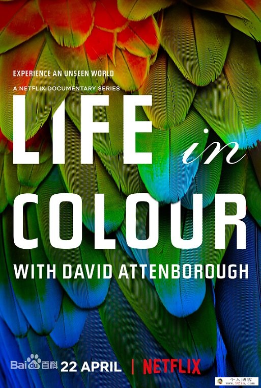BBC探索发现纪录片《生命之色 Life In Colour》全3集下载 mkv1080p中英字幕 百度云